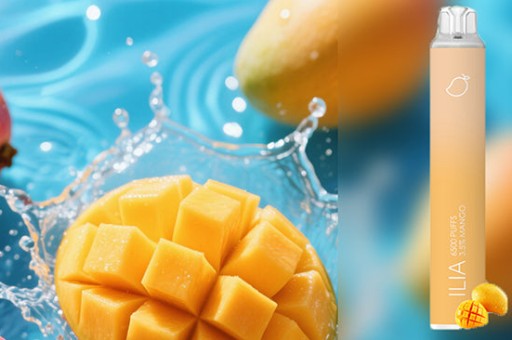 MEEL盒子一次性是否有防偽碼-mecool盒子怎麼樣