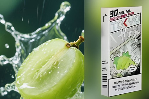 佩特裏 DIY 進階玩家改裝教程-佩特裏進階玩家DIY改裝全攻略