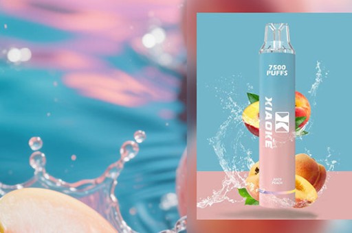 KISS5鎧斯性價比對比 值得買嗎？對決 SP2S思博瑞漏油