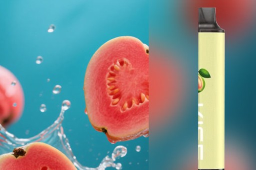 SP2S不同系列煙彈口感差異：陶瓷芯與棉芯對比